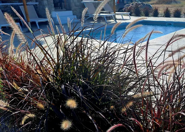 Naxos Beachwalk Villa Plaka