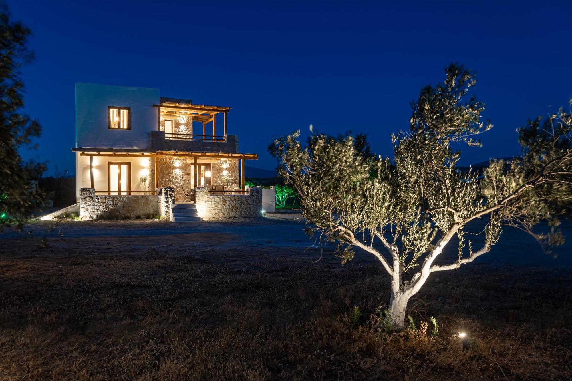 Naxos Beachwalk Plaka Villa *