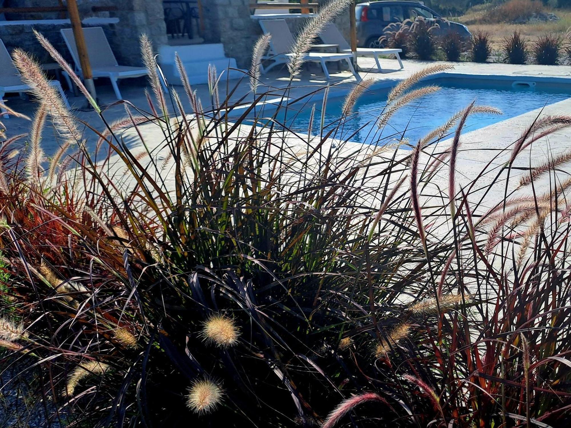 Villa Naxos Beachwalk Plaka